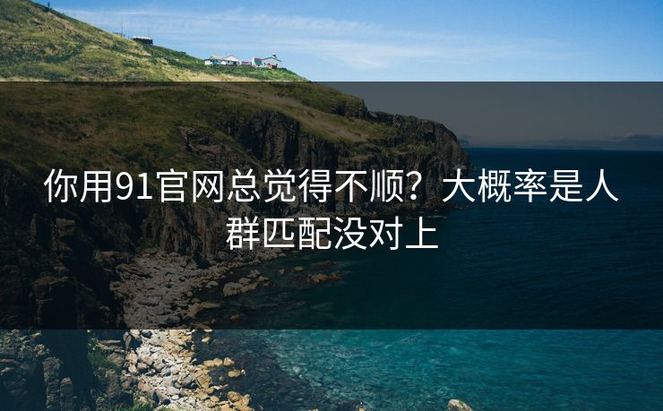 你用91官网总觉得不顺?大概率是人群匹配没对上