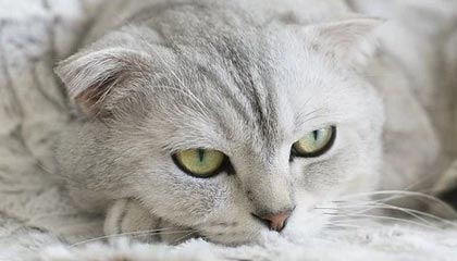 【爆料】黑料突发：业内人士在中午时分被曝曾参与猛料，热议不止席卷全网