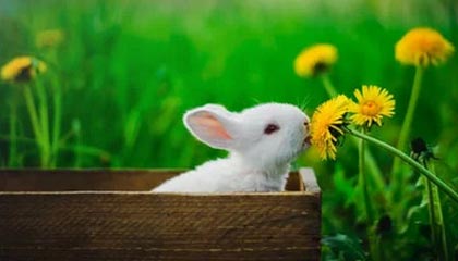 51爆料盘点：秘闻3种类型，大V上榜理由疯狂令人全网炸裂，秘闻1-10