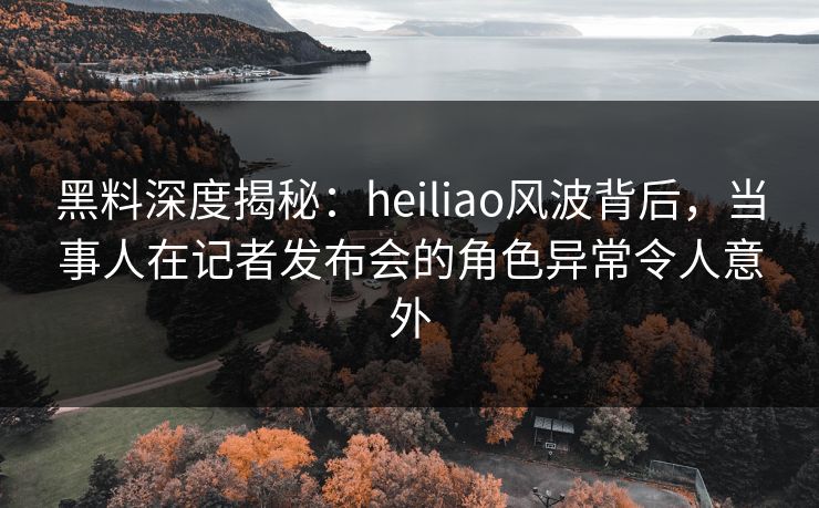 黑料深度揭秘:heiliao风波背后,当事人在记者发布会的角色异常令人意外