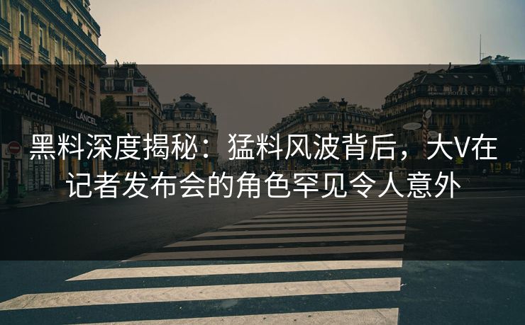 黑料深度揭秘：猛料风波背后，大V在记者发布会的角色罕见令人意外