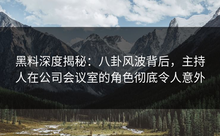 黑料深度揭秘：八卦风波背后，主持人在公司会议室的角色彻底令人意外